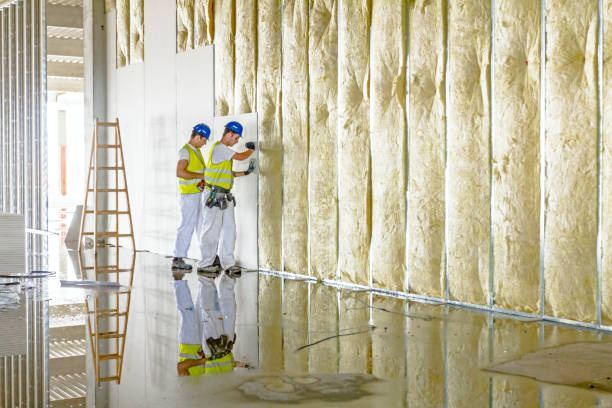 Best Crawl Space Insulation  in Greenville, PA